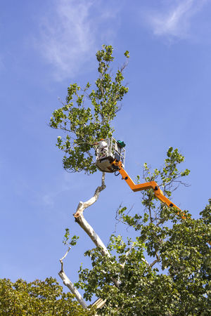 Crane services by Southern Tree Services LLC