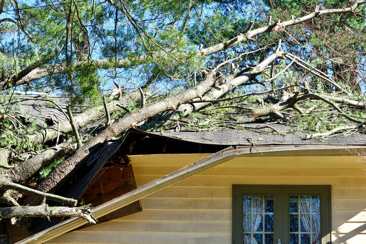 Storm damage cleanup by Southern Tree Services LLC