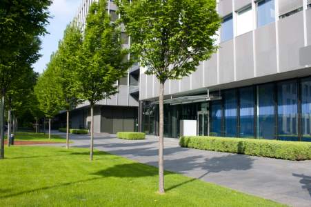 Commercial tree services by Southern Tree Services LLC