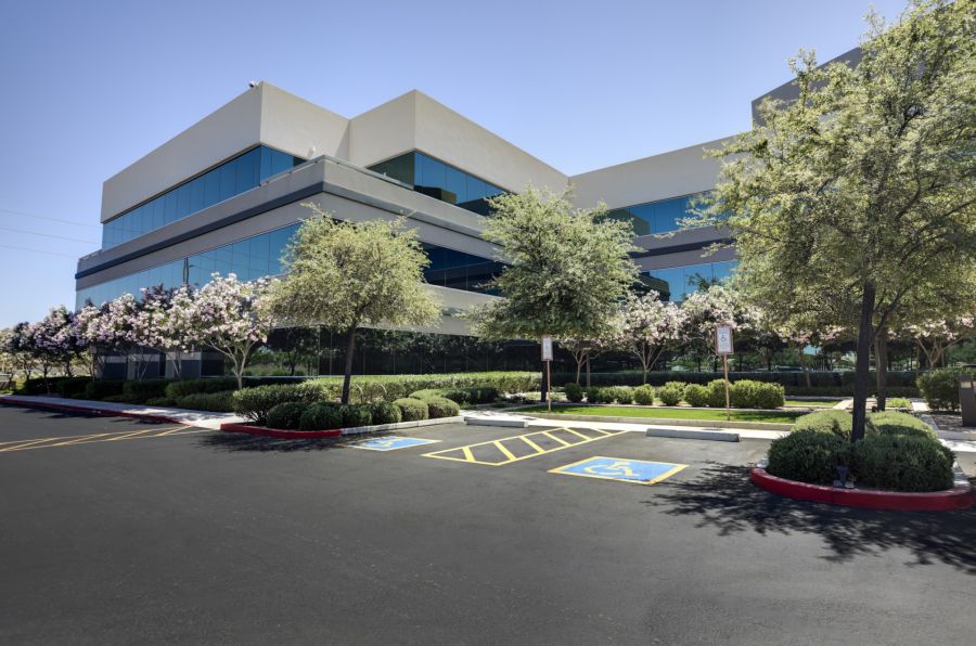 Commercial tree services by Southern Tree Services LLC