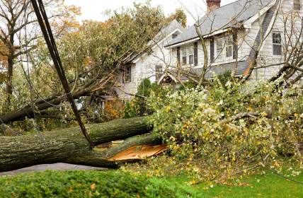 Emergency tree removal by Southern Tree Services LLC