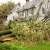 Belleview Emergency Tree Removal by Southern Tree Services LLC