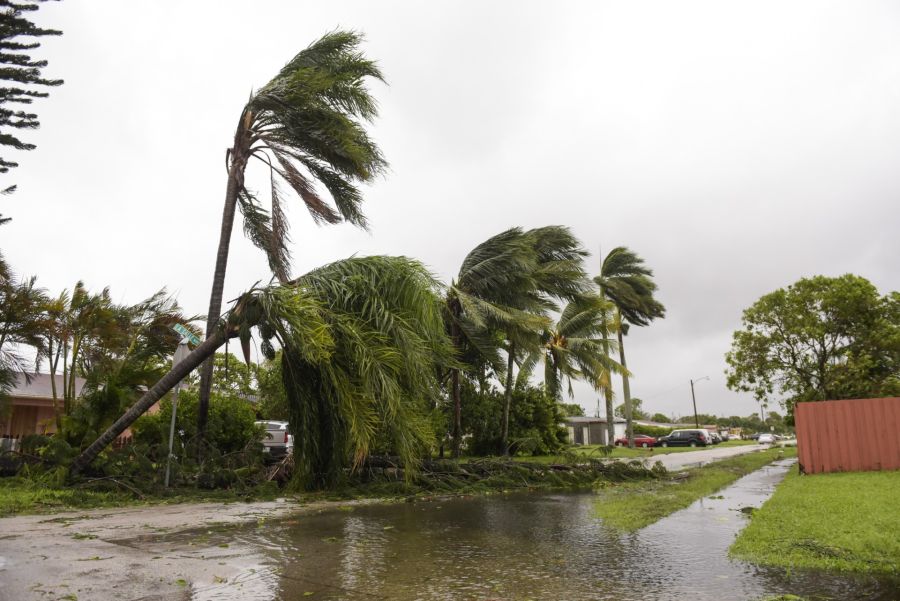 Storm damage cleanup by Southern Tree Services LLC