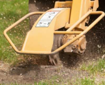 Stump grinding and removal in Belleview, Florida by Southern Tree Services LLC