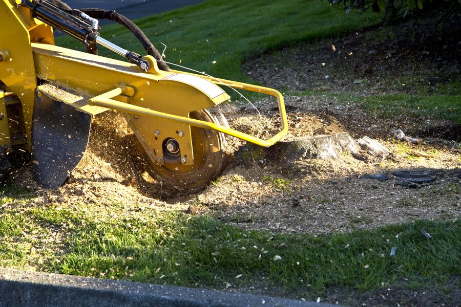 Stump Grinding & Stump Removal by Southern Tree Services LLC
