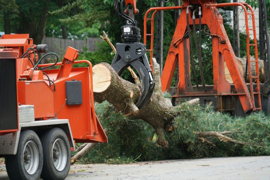 Tree Removal by Southern Tree Services LLC