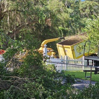 Tree Debris Removal in Lady Lake, FL (1)