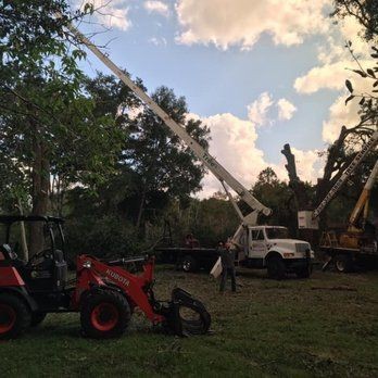 Tree Services in Spring Hill, FL (1)